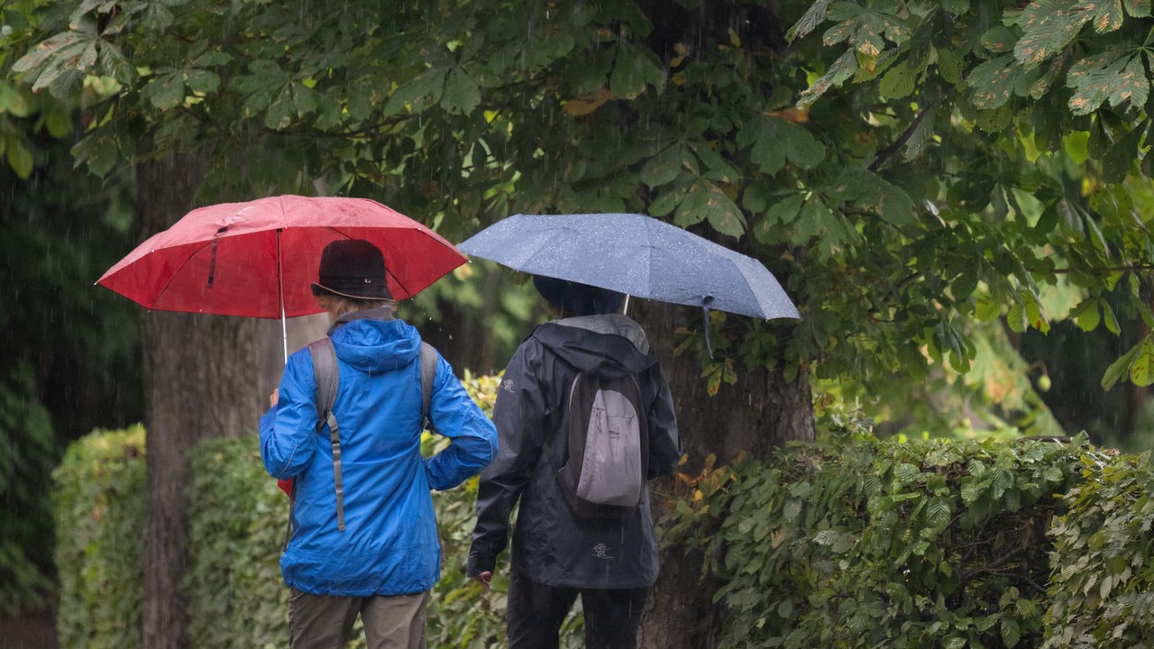 Zwei ältere Frauen gehen mit aufgespannten Regenschirmen eine Allee entlang.